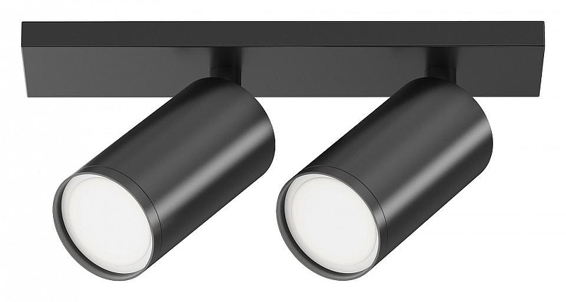 Потолочный светильник Maytoni Ceiling & Wall Focus S C051CL-U-2B 