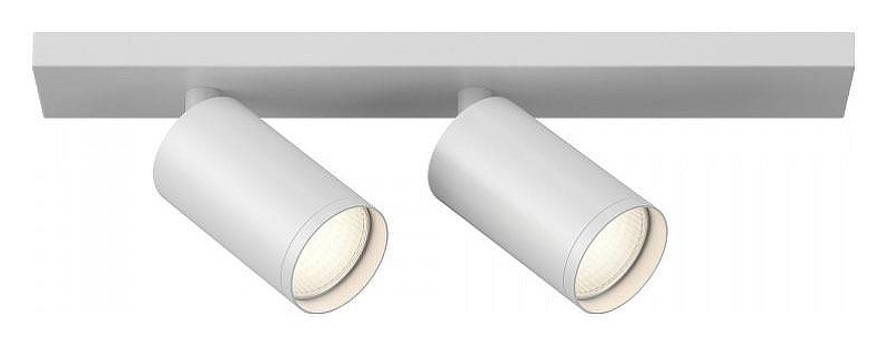 Потолочный светильник Maytoni Ceiling & Wall Focus S C051CL-U-2W 