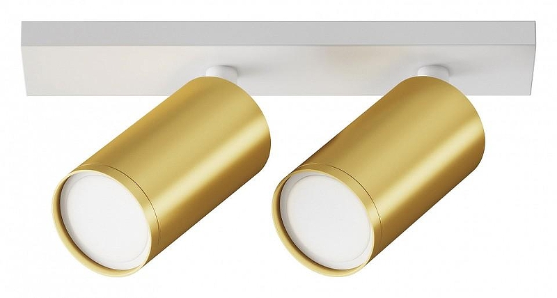 Потолочный светильник Maytoni Ceiling & Wall Focus S C051CL-U-2WMG 