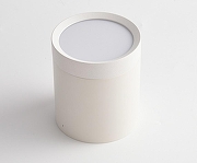 Потолочный светильник Maytoni Ceiling & Wall Hoop C086CM-GX53-MRD-W цвет плафона/подвески Белый, цвет арматуры Белый-2