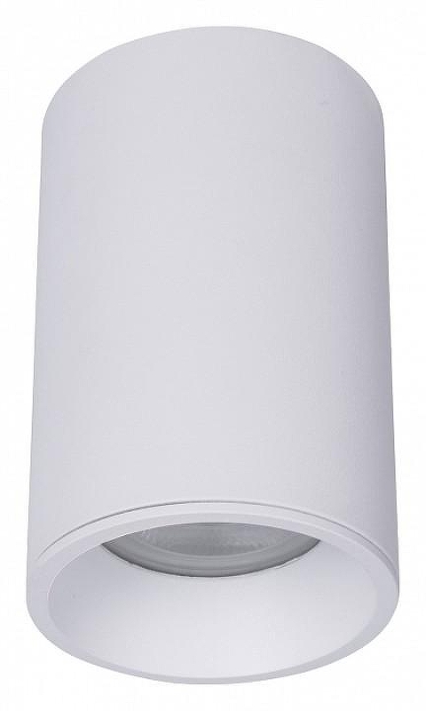 Потолочный светильник Maytoni Ceiling & Wall Zoom C029CL-01-S-W 