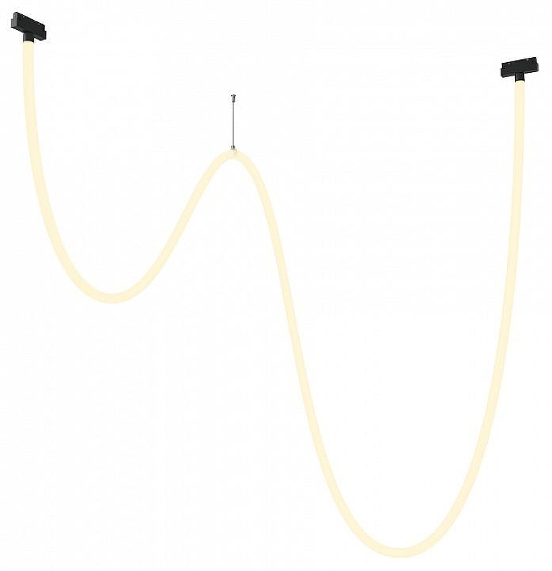 Трековый светильник Maytoni Magnetic track system Exility Tau TR101-2-100W3K-B 