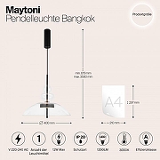 Подвесной светильник Maytoni Bangkok MOD185PL-L6B3K3 цвет черный-2