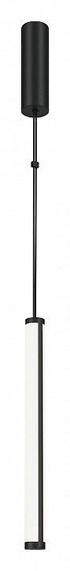 Подвесной светильник Maytoni Supersymmetry P096PL-L11BK1 