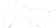 Керамогранит Alma Ceramica Каррара / Carrara GFU60120CRR00R Матовый 60х120 см-1