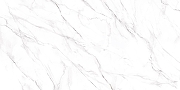 Керамогранит Alma Ceramica Нео Калакатта / Neo Calacatta GFU60120NCL07R Матовый 60х120 см-3