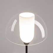 Торшер Maytoni Memory MOD177FL-01B цвет плафона/подвески Прозрачный, цвет арматуры Черный-5