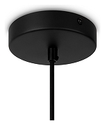 Подвесной светильник Maytoni Roots MOD195PL-01W1 цвет плафона/подвески Бежевый, цвет арматуры Черный-2