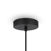 Подвесной светильник Maytoni Roots MOD197PL-01W цвет плафона/подвески Бежевый, цвет арматуры Черный-4