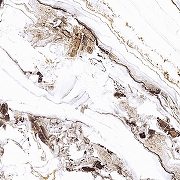 Керамогранит Primavera Тайшань TP66M14 60x60 см-5