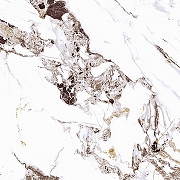 Керамогранит Primavera Тайшань TP66M14 60x60 см-7