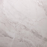 Керамогранит Primavera Пантир TP66M17 60x60 см-3