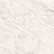 Керамогранит Primavera Пантир TP66M17 60x60 см-4