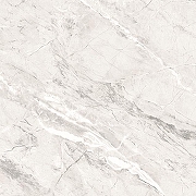 Керамогранит Primavera Пантир TP66M17 60x60 см-6