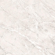 Керамогранит Primavera Пантир TP66M17 60x60 см-7