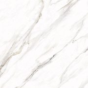 Керамогранит Primavera Ayton Brown Polished PR128 60x60 см-4