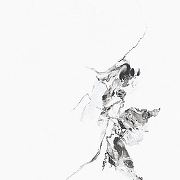 Керамогранит Primavera Videl Bianco Polished PR129 60x60 см-1