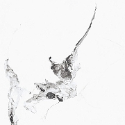 Керамогранит Primavera Videl Bianco Polished PR129 60x60 см-6