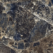 Керамогранит Primavera Roman Empro Gold High Glossy GR107 60x60 см