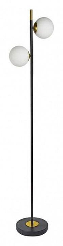 Торшер Artelamp Alcor A2224PN-2BK 