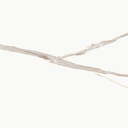 Керамогранит Primavera Signorina Gold Carving CR112 60x60 см-2