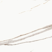 Керамогранит Primavera Signorina Gold Carving CR112 60x60 см-6