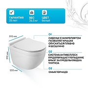 Унитаз BelBagno Senso-Tor BB017CH-TOR/BB2034SC подвесной с сиденьем Микролифт-1
