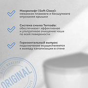 Унитаз подвесной WeltWasser Merzbach 043 GL-WT 10000009939 с сиденьем Микролифт-1