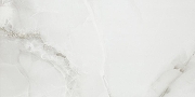 Керамогранит Pamesa Ceramica Marbles Fenix Gris 004.869.0002.00909 60х120 см