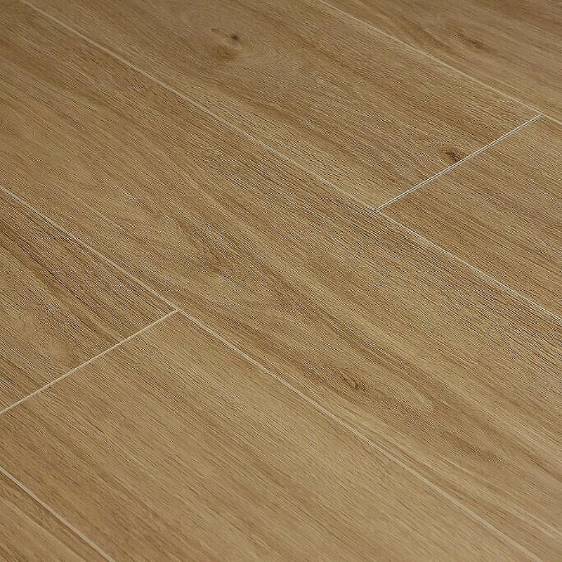 Виниловый ламинат L'Quarzo Siesta  LQ205  Райцилла 