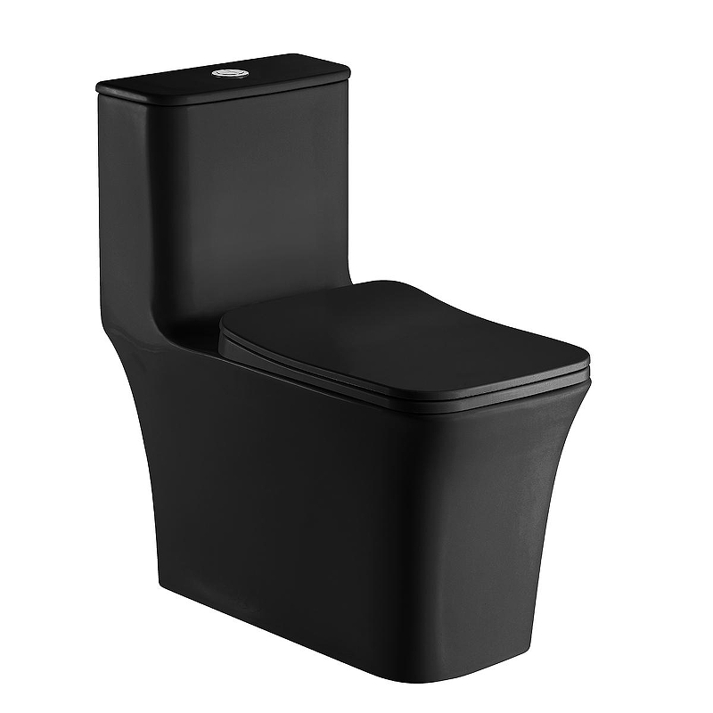 Унитаз моноблок Azario Gressa AZ-1111MB 