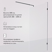 Душевая перегородка AM.PM X-Joy 110 W94WI-110-F1-BTE профиль Черный матовый стекло прозрачное-5
