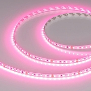 Светодиодная лента Arlight A120 24V 8mm 9.6 W/m 043380 цвет белый