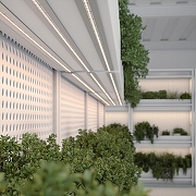 Светодиодная лента Arlight FITOLUX 038171 цвет белый-4