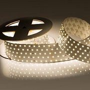 Светодиодная лента Arlight RT 2-2500 24V White6000 5x2 (2835, 875 LED, LUX) 019082(B) IP 20-1