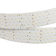 Светодиодная лента Arlight RT 2-2500 24V Day5000 5x2 (2835, 875 LED, CRI98) 025162(1) IP 20