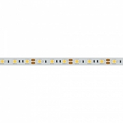 Светодиодная лента Arlight RT открытая 012349(2) IP 20-1