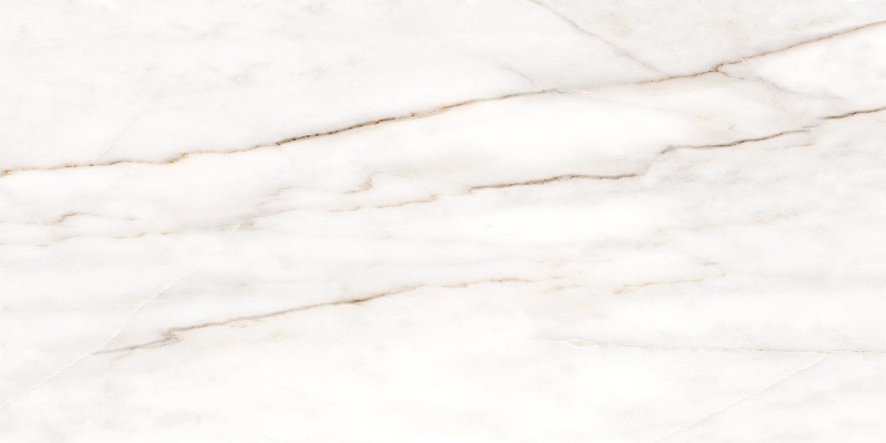 Керамогранит LCM Борнео / Borneo 60120RNE00P Полированный 