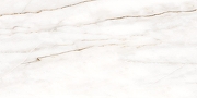 Керамогранит LCM Борнео / Borneo 60120RNE00P Полированный 60х120 см-15