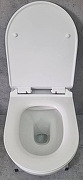 Унитаз CeramaLux 2196-2 подвесной Белый глянцевый с сиденьем Микролифт-10