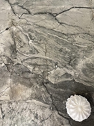 Керамогранит Realistik Craft Hazel Серый матовая 60x120 см-3