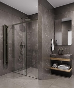 Душевая дверь Timo TDSS-120/13C-8R 1200x2000 T48R раздвижная профиль Никель стекло прозрачное-3