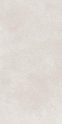 Керамогранит GlobalTile Cassini GT1206017706MR Светло-серый Матовая 60х120 см