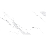 Керамогранит Avroria Elite Satuario AM22-16 серебристо-белый Полированный 60х120 см