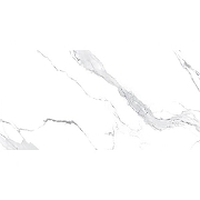 Керамогранит Avroria Elite Satuario AM22-16 серебристо-белый Полированный 60х120 см-3