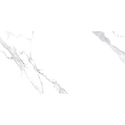 Керамогранит Avroria Elite Satuario AM22-16 серебристо-белый Полированный 60х120 см-4