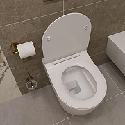 Унитаз STWORKI Ноттвиль SETK3104-2616-001-1-8000 подвесной цвет Белый с сиденьем Микролифт-7