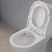 Унитаз компакт Iddis Zodiac X ZODRDSEi24 цвет Белый с бачком и сиденьем Микролифт-13