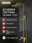 Душевая система Esbano DS Gemini ESDSGEMI-DSSG цвет Брашированное золото