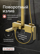 Душевая система Esbano DS Basco ESDSBASC-DSSG цвет Брашированное золото-3